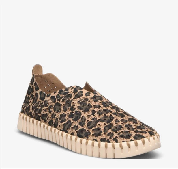 Ilse Jacobson Tulip shoe Leopard – Foss Kruger - Main Image
