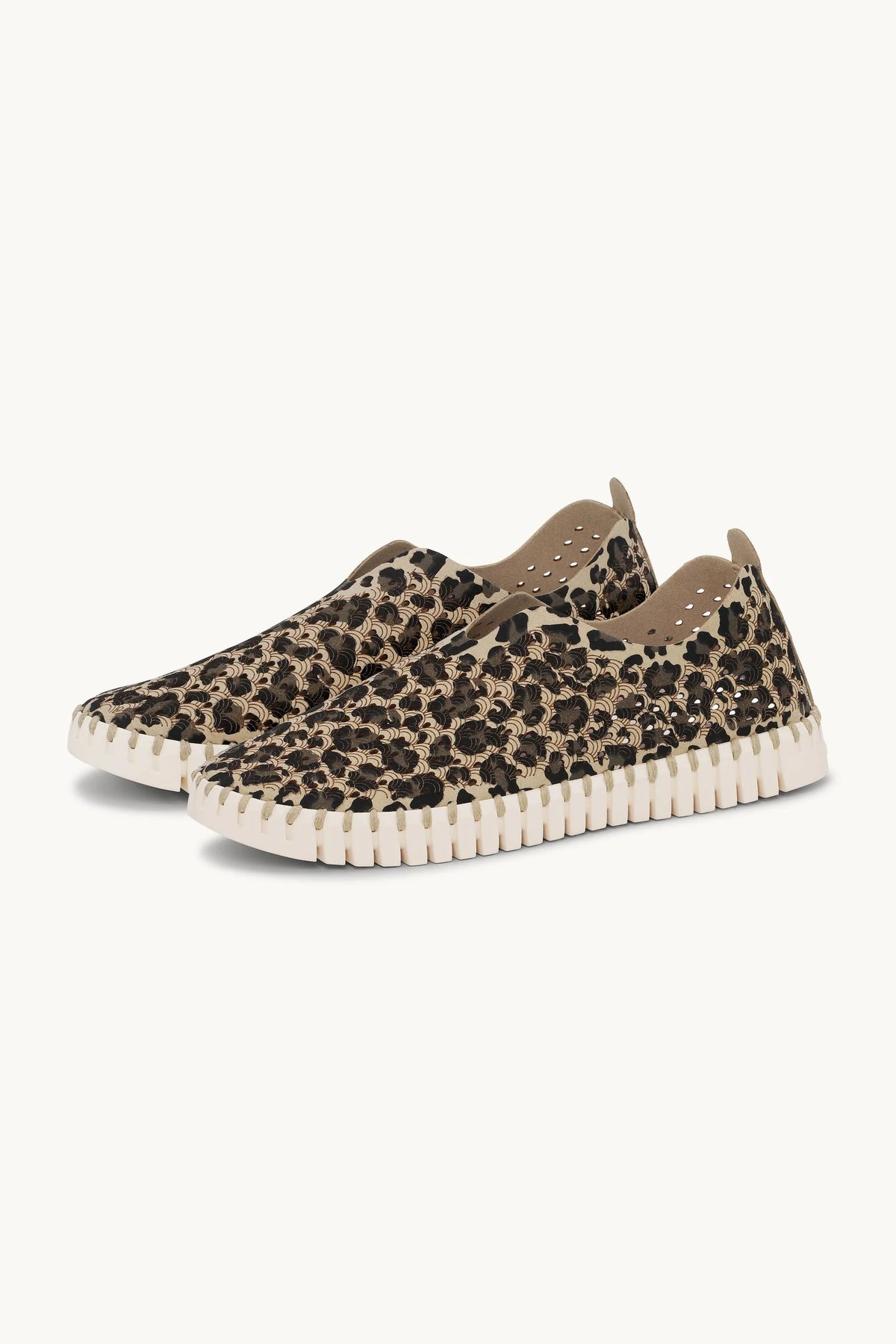 Pair of leopard print flat shoes with white rubber sole on a plain background. 