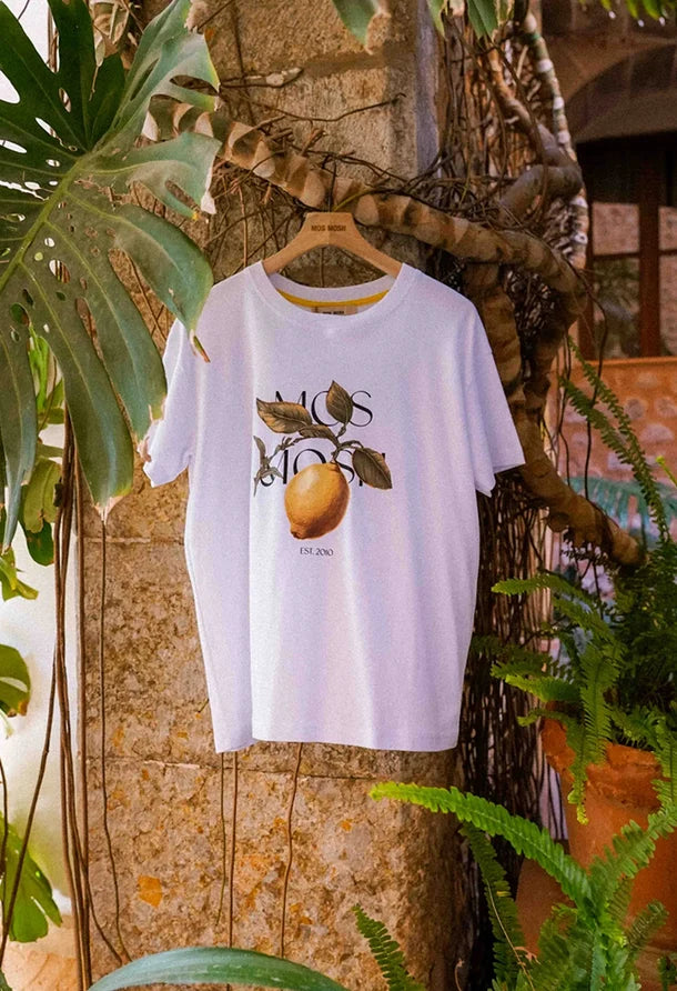 A white short-sleeve t-shirt with a graphic print of a mango and leaves, hanging on a wooden hanger on a stone wall surrounded by tropical plants.