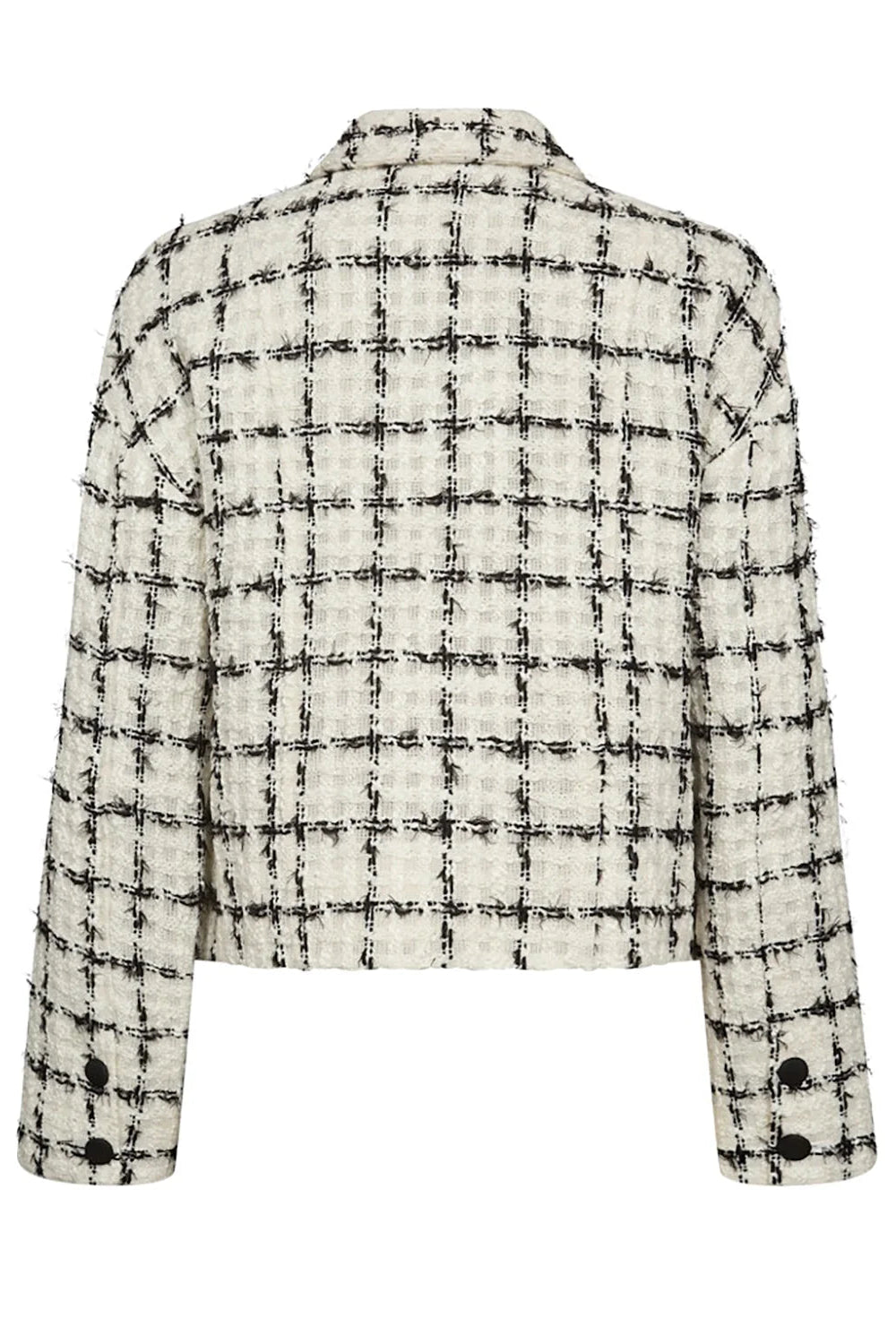 Black and white checkered jacket on a white background
