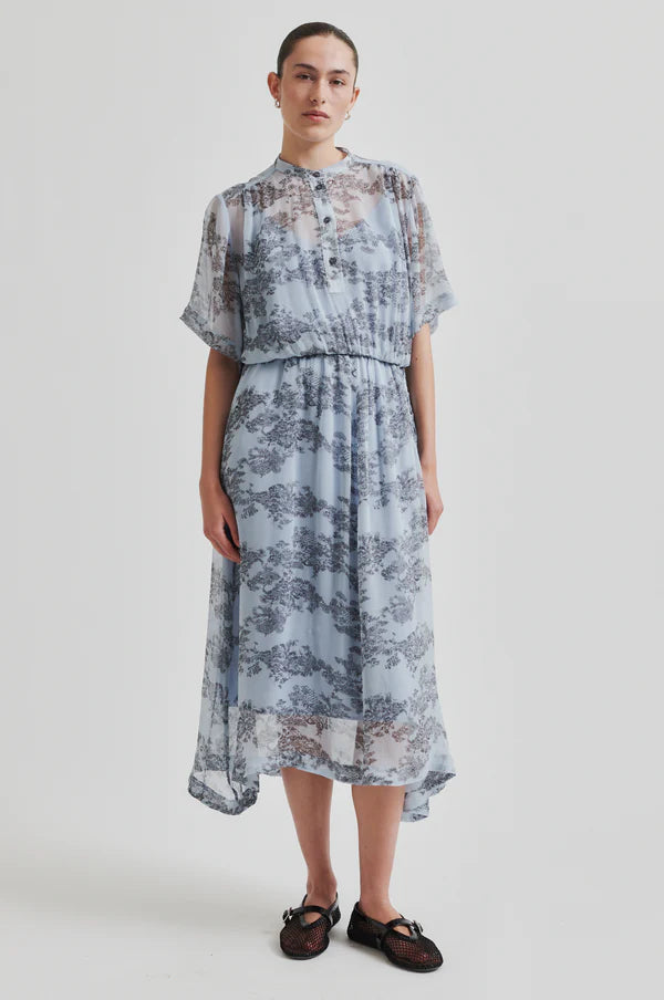 Model wearing a blue sheer floral dress with cap sleeve and print. 